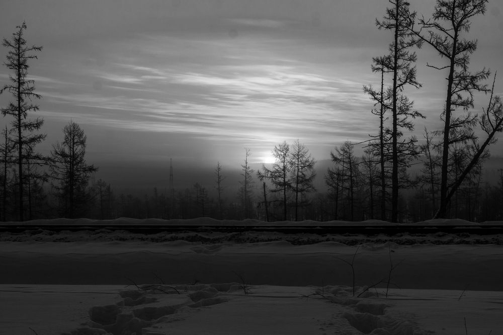 Photograph by Михаил Мархинин