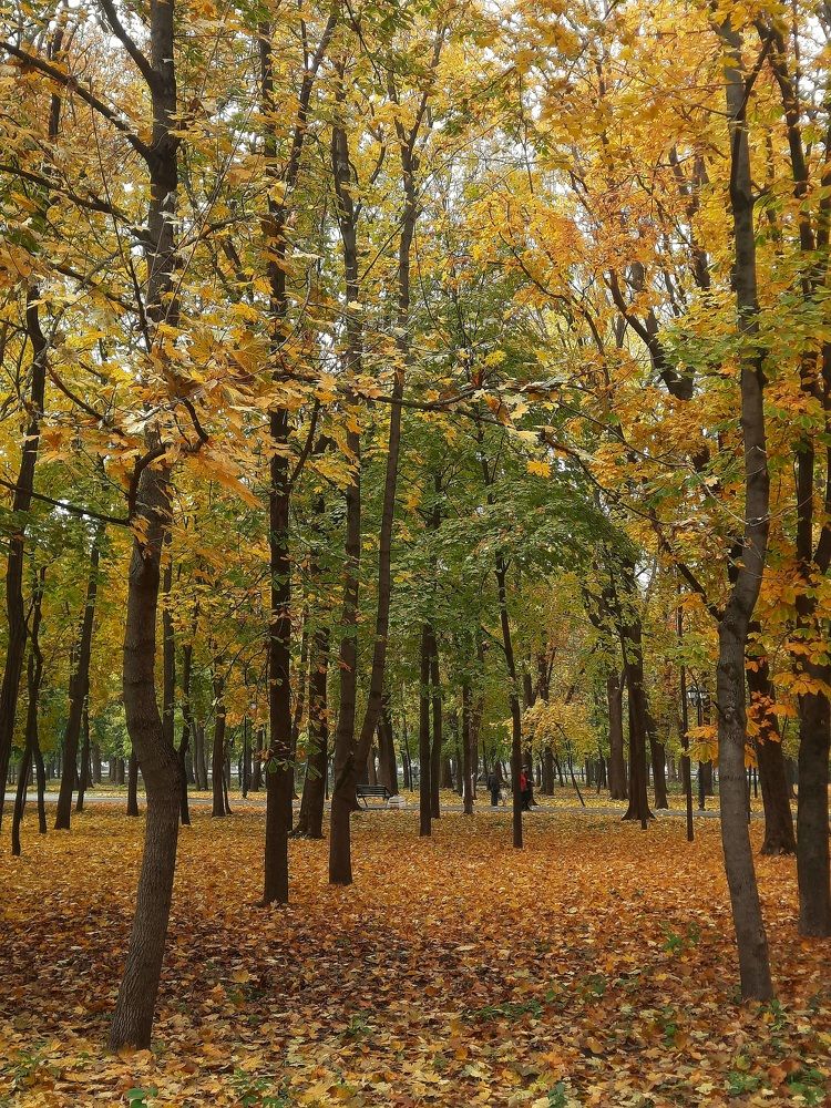 Photograph by Наталья Владимировна