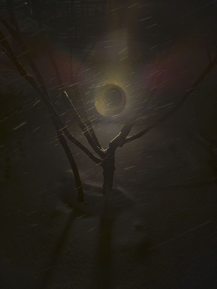 Photograph by Владимир Баулин