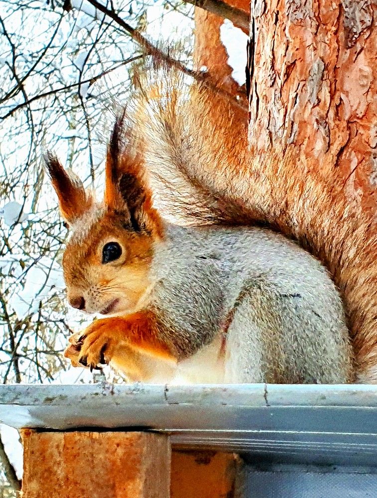 Photograph by Яна Галимуллина