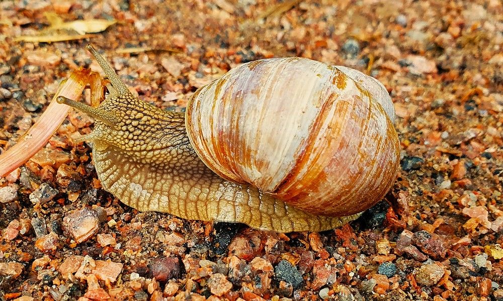 Photograph by Яна Галимуллина