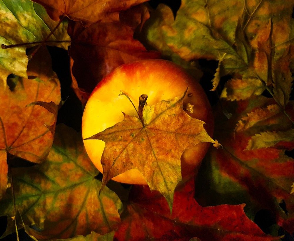 Photograph by Яна Галимуллина