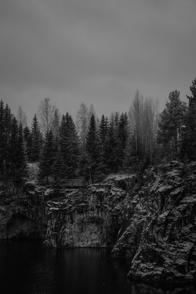 Фотография автора Елена Кваша