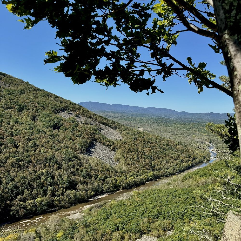 Photograph by Дина Желанова