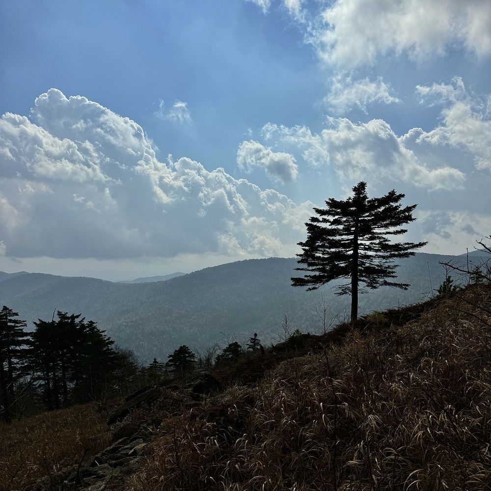 Photograph by Дина Желанова