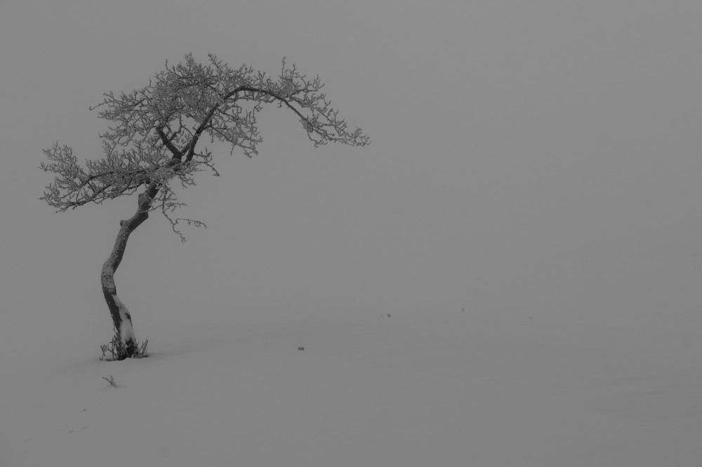 Photograph by Сергей Шерстнев