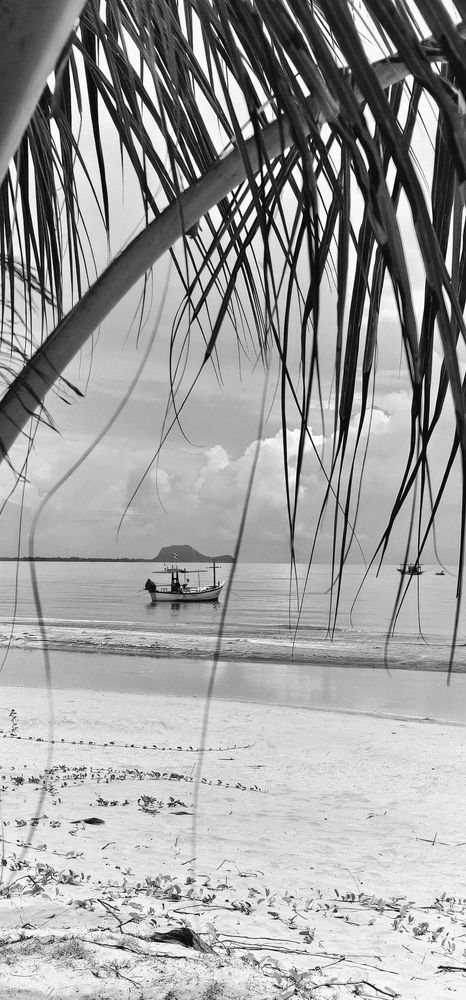 Photograph by Анна Далингер