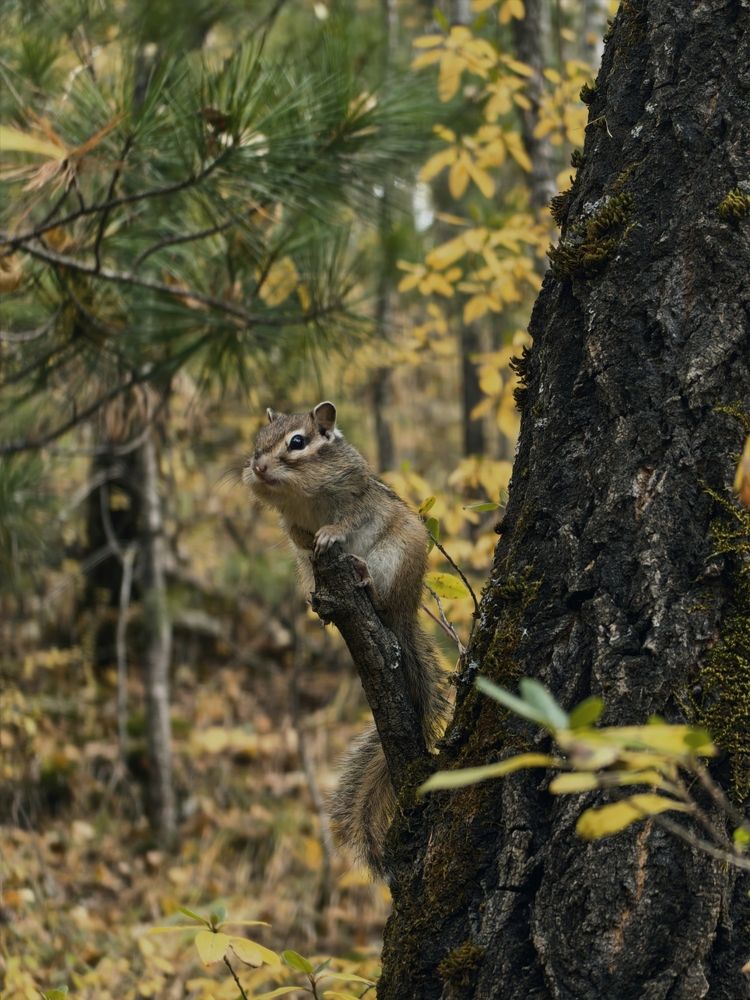 Photograph by Валерия Иваненко