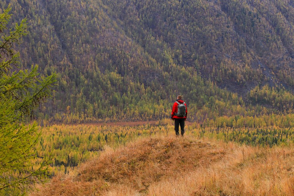 Фотография автора Оркина Ксения