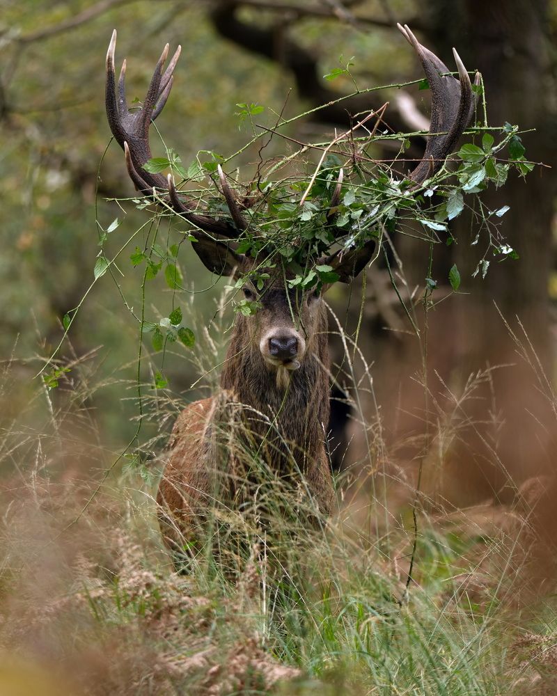 Фотография автора Kowalski Jaroslaw