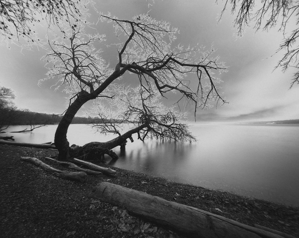 A sip of water from the river