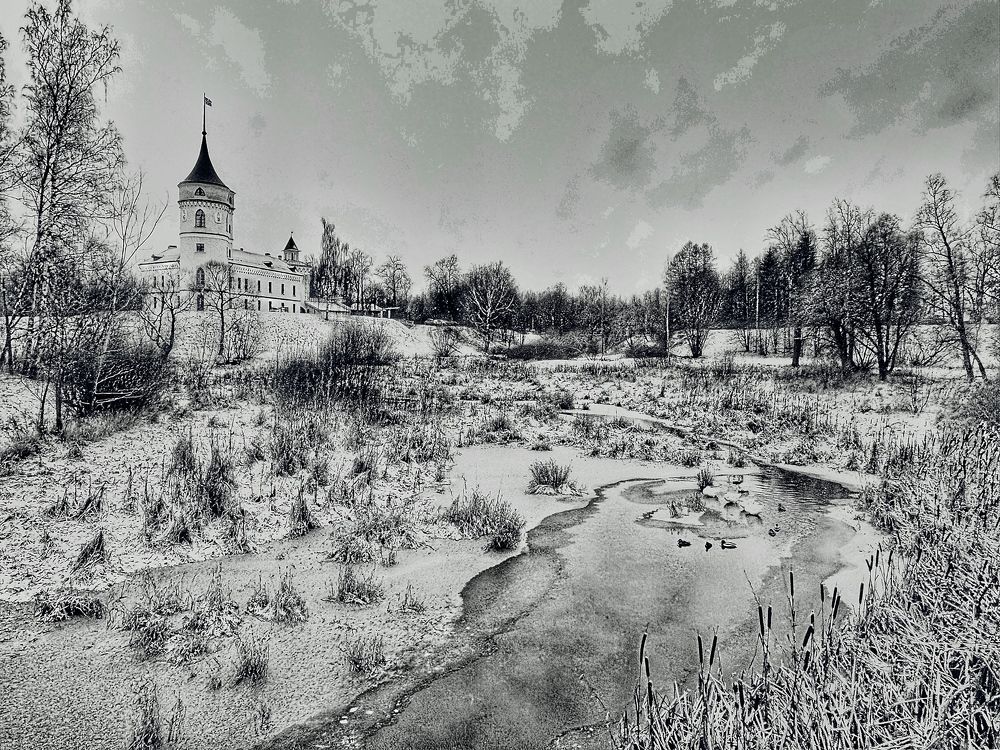 Photograph by Титаренко Людмила