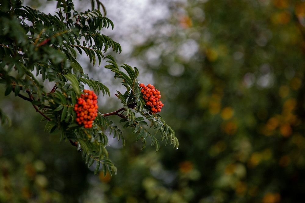 Photograph by Евгений Авдеев