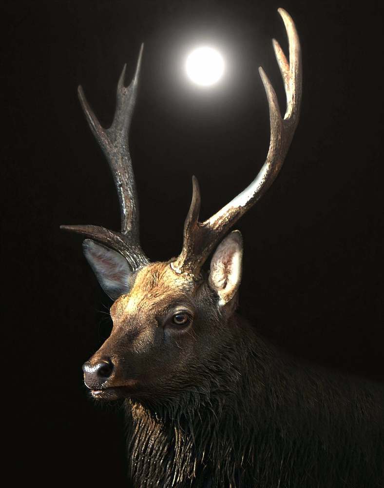 Неожиданная встреча.