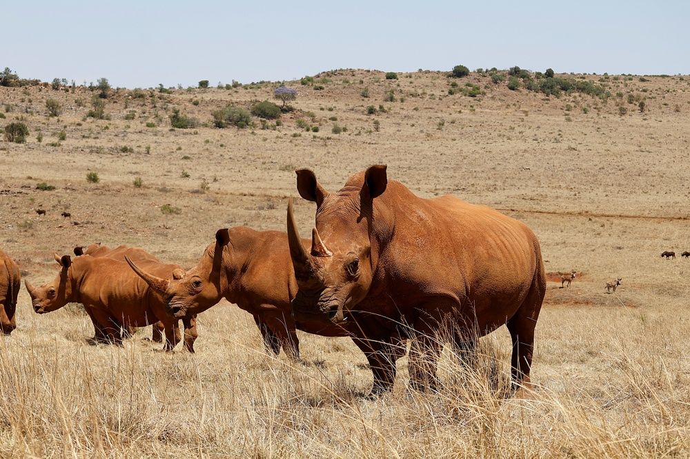 Photograph by NJ VAN ZYL