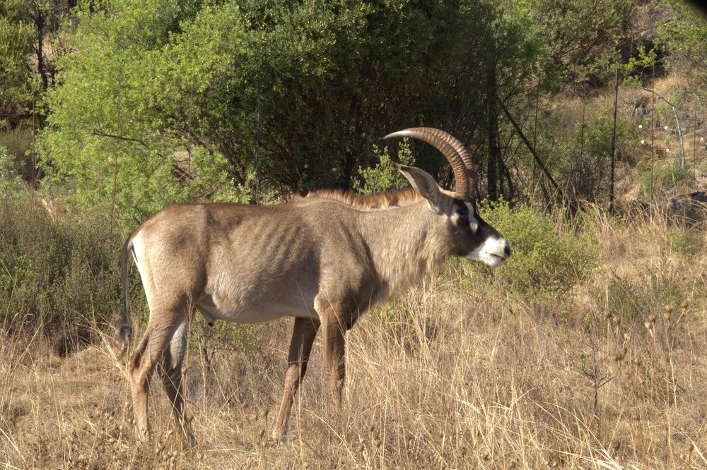 Photograph by NJ VAN ZYL