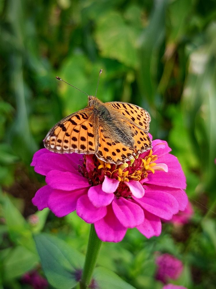 Photograph by Елена Чернякова