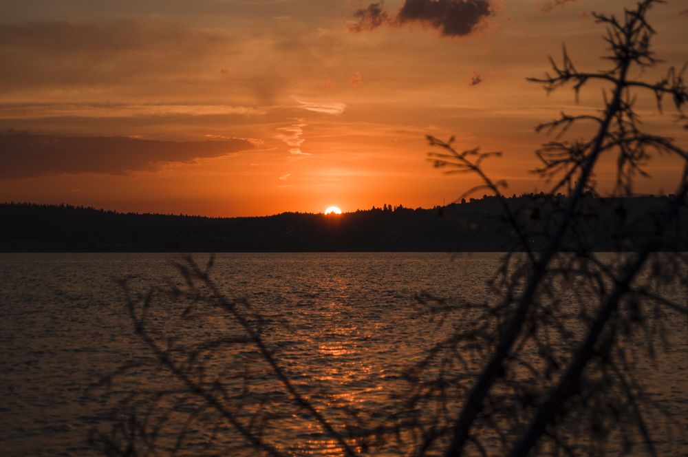 Фотография автора Мария Михайлова