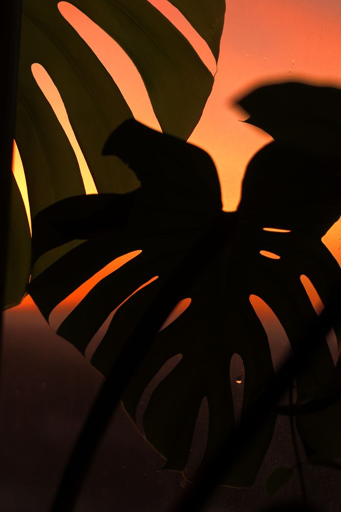 Фотография автора Мария Михайлова