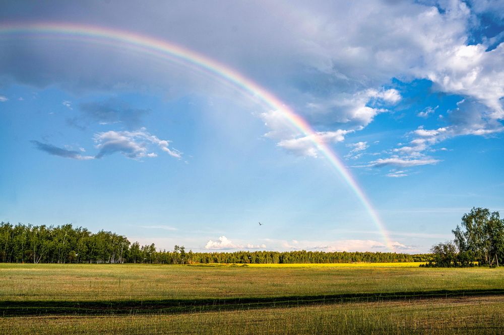 Короткое лето на просторах Якутии