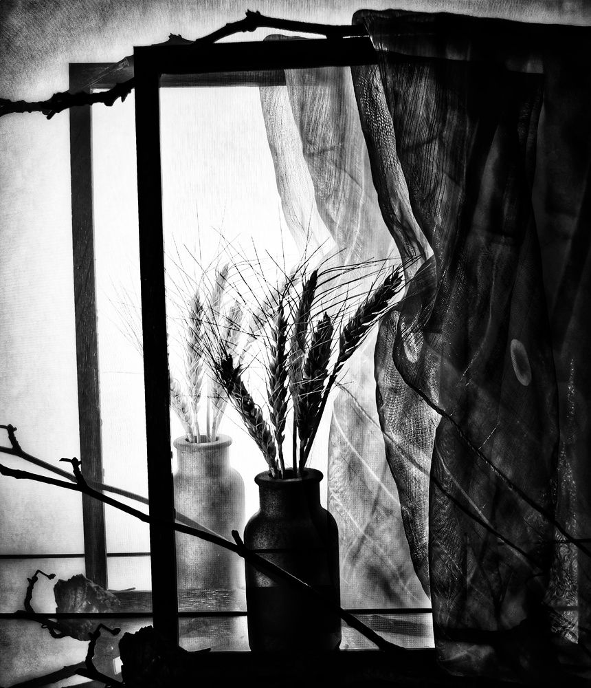 Photograph by Irina Luidinshina