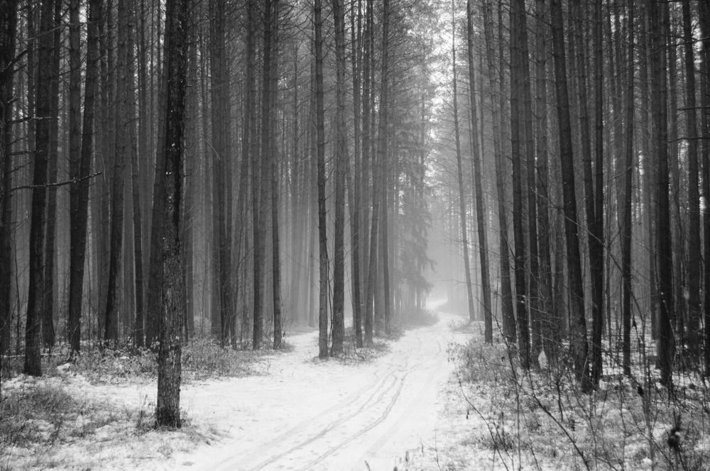 Фотография автора Мария Михайлова