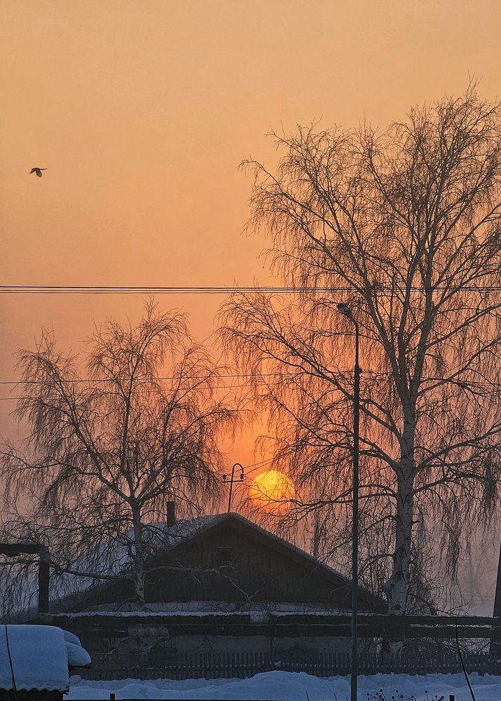 Photograph by Ольга Веселова