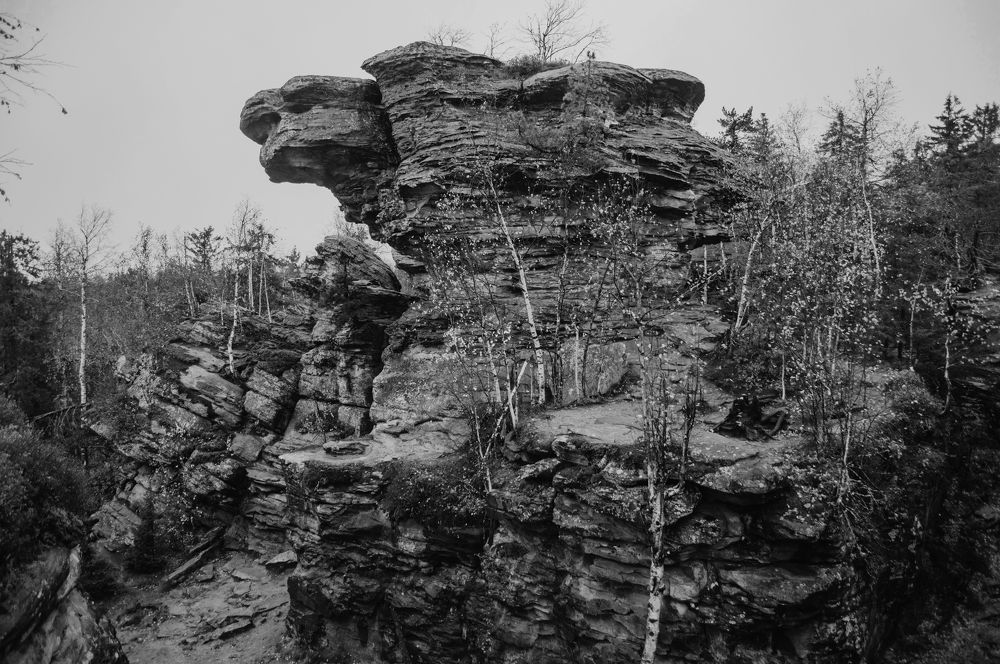 Фотография автора Мария Михайлова