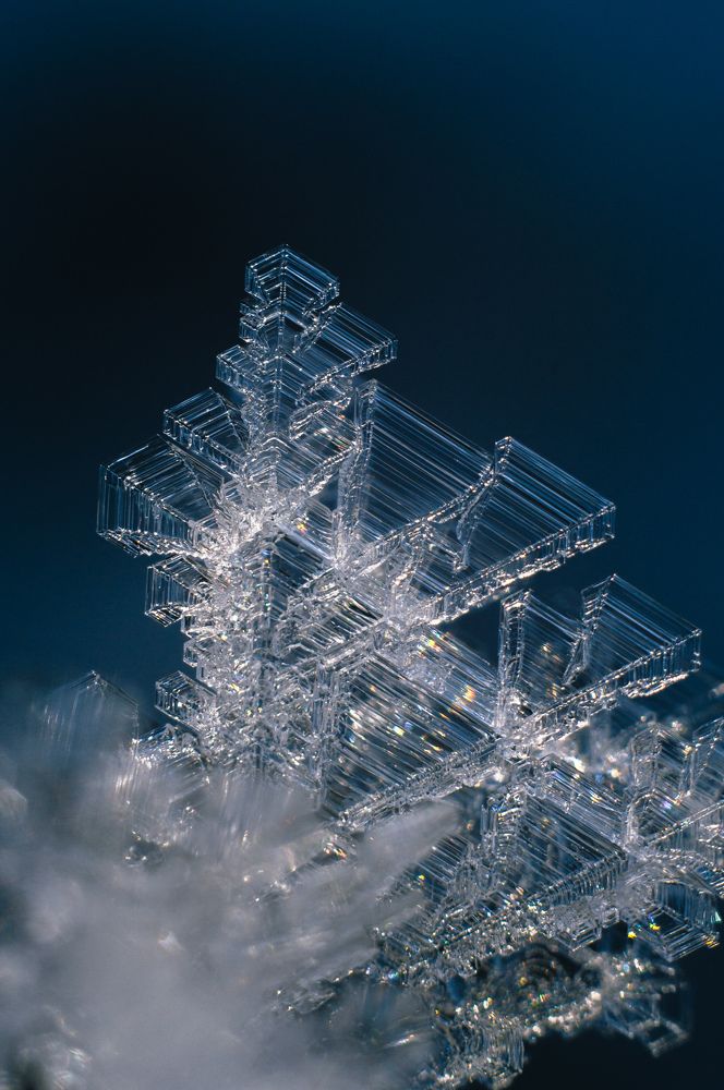 Фотография автора Мария Михайлова