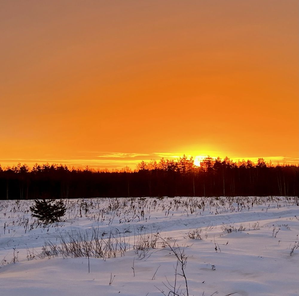 Photograph by Марина Нагичева
