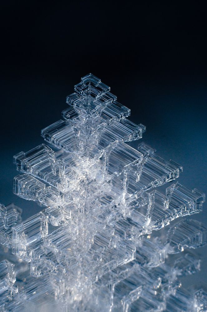 Фотография автора Мария Михайлова