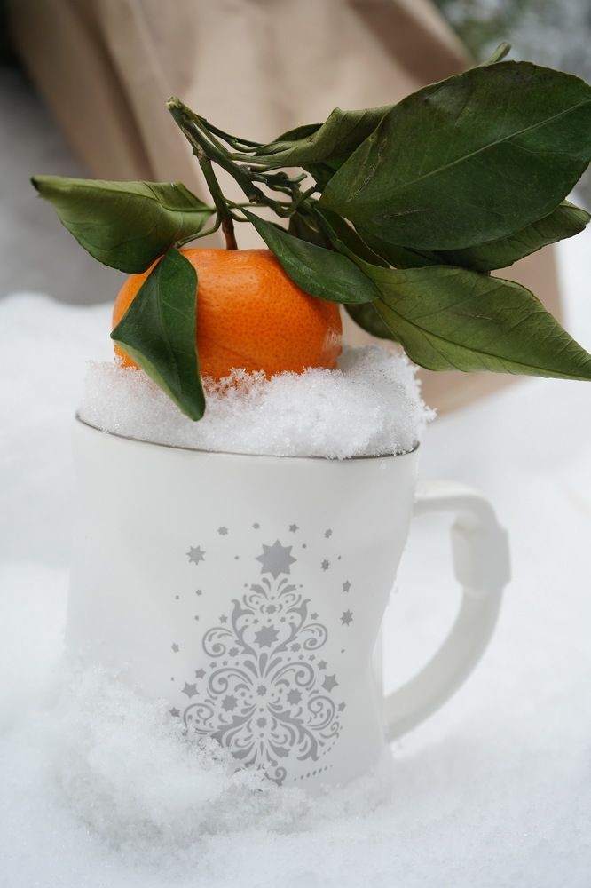 Photograph by Любовь Лунина