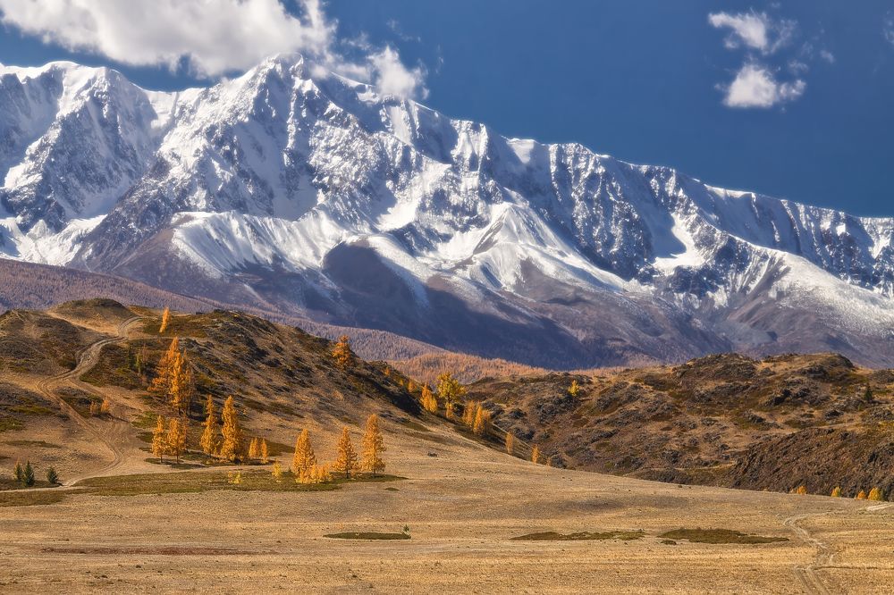 Фотография автора Марина Юдинских