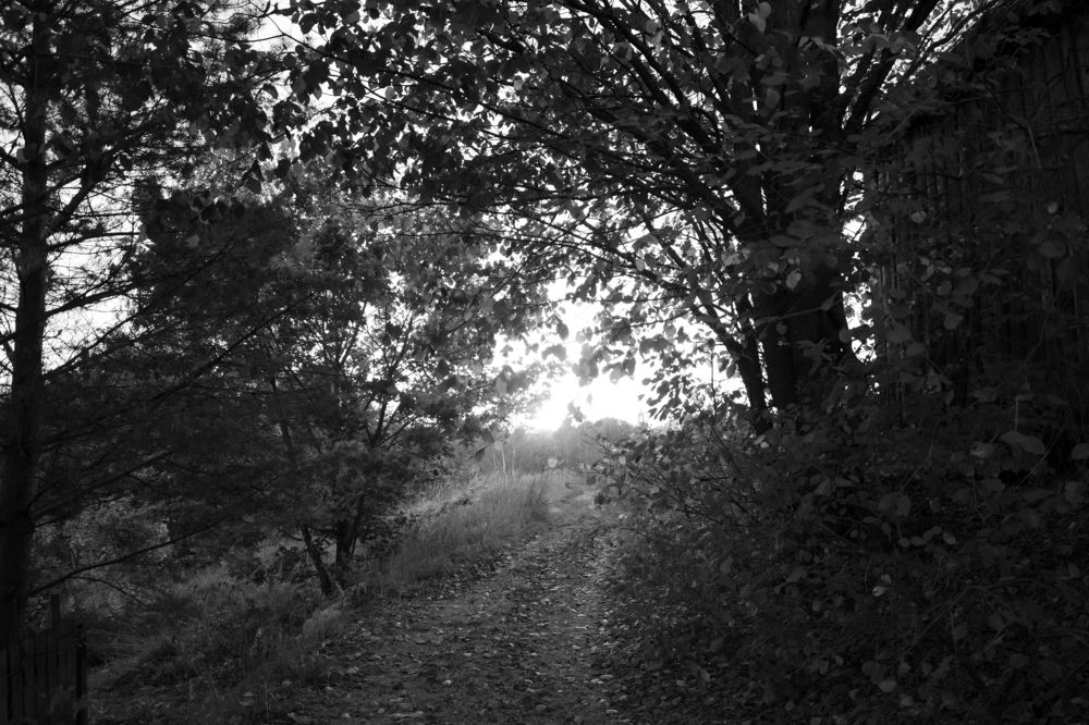 Фотография автора Aamoda Kitchen