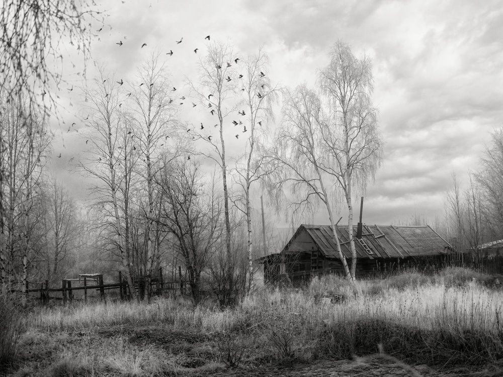 Photograph by ARTEM KORZHUKOV