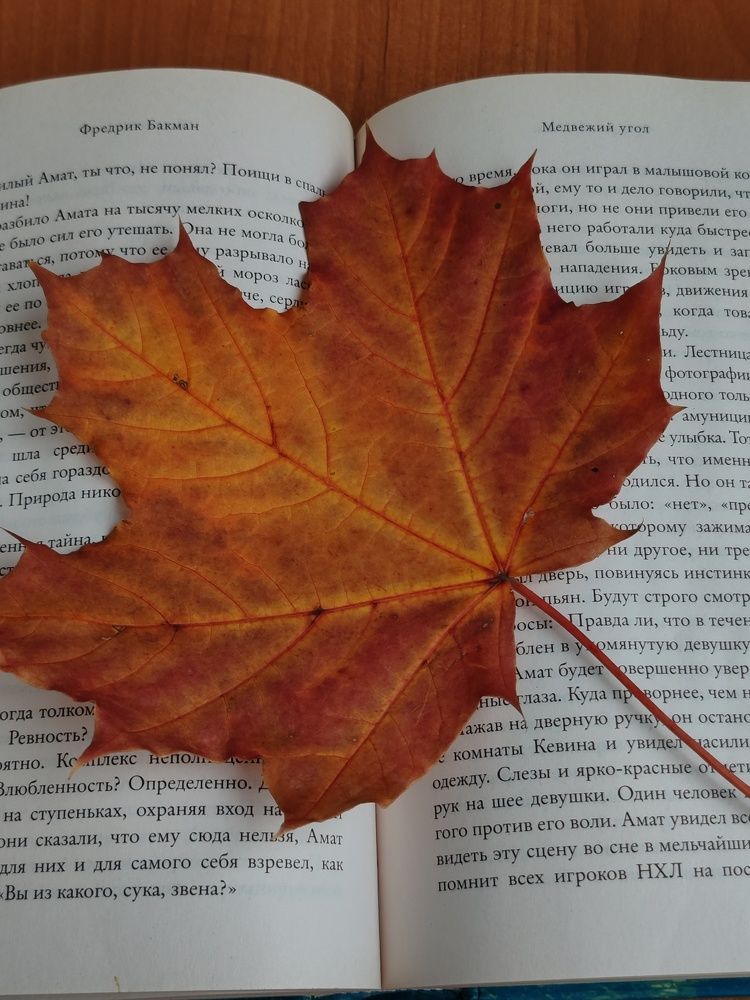 Photograph by Анастасия Лотова