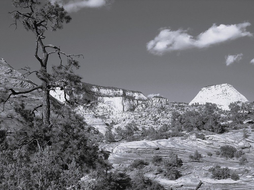 Photograph by Ирина Орлова