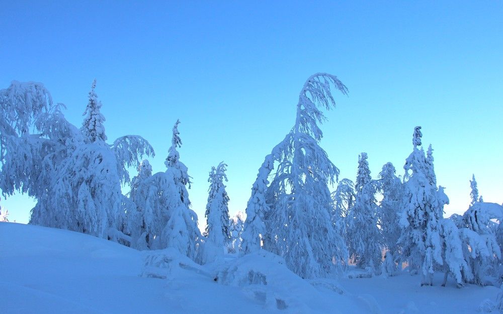 Морозный день.