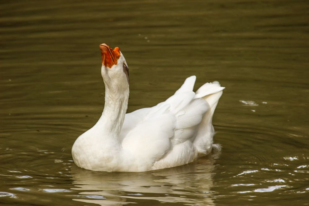 Фотография автора Марина Иванова
