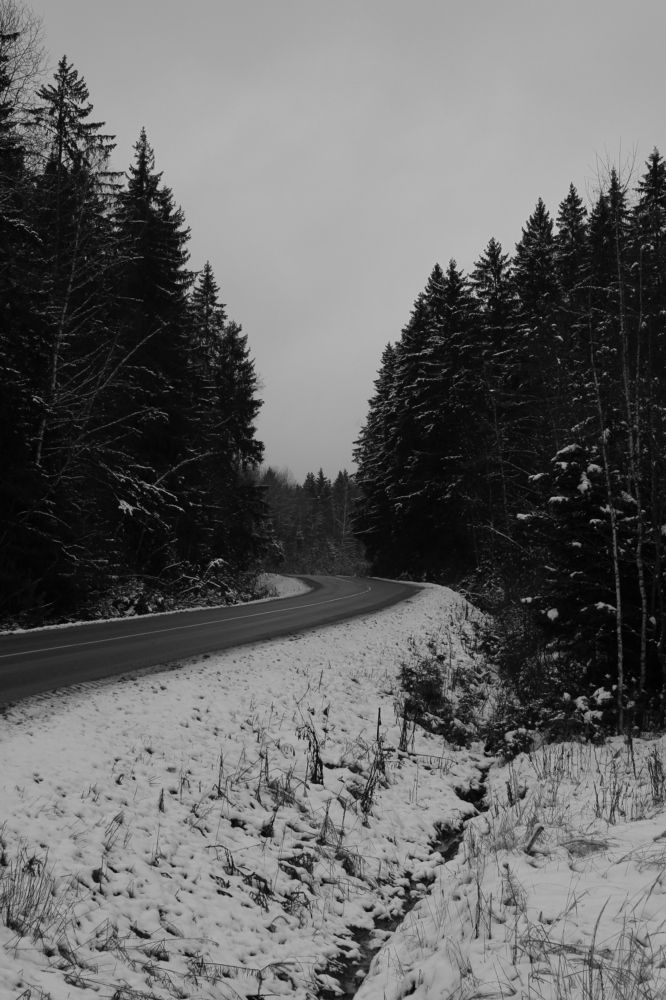 Photograph by Наталья Алексеева