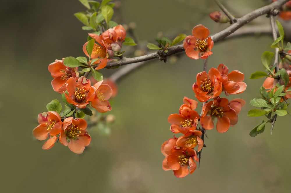 Фотография автора Марина Иванова