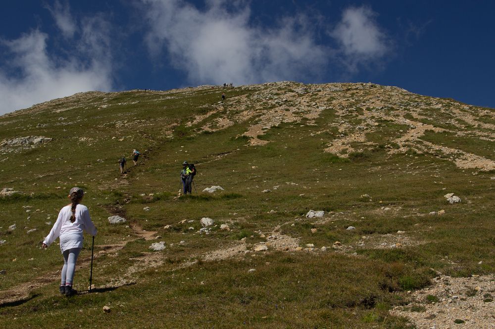 Фотография автора Екатерина Першина