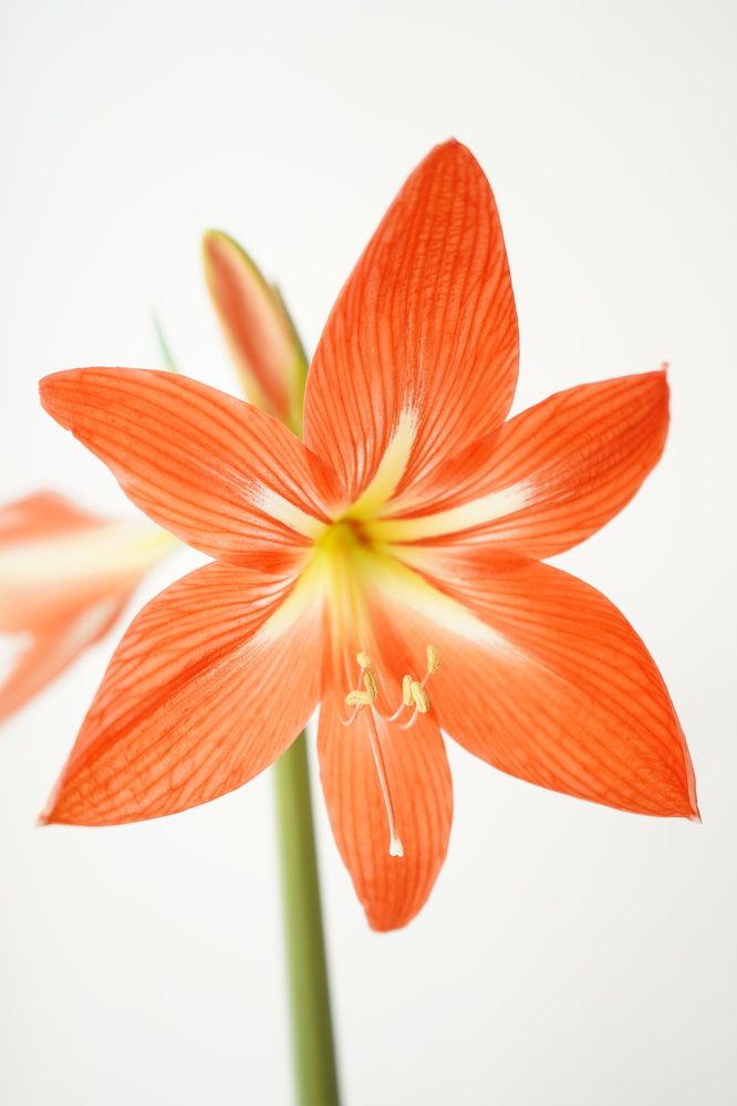 Photograph by Любовь Лунина