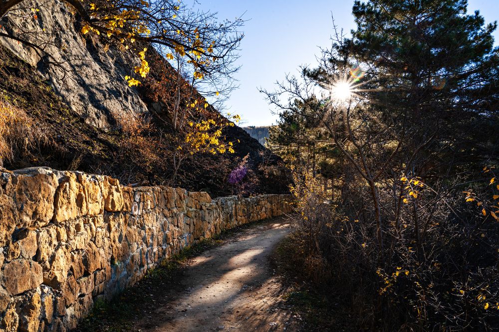 Photograph by Светлана Волкова