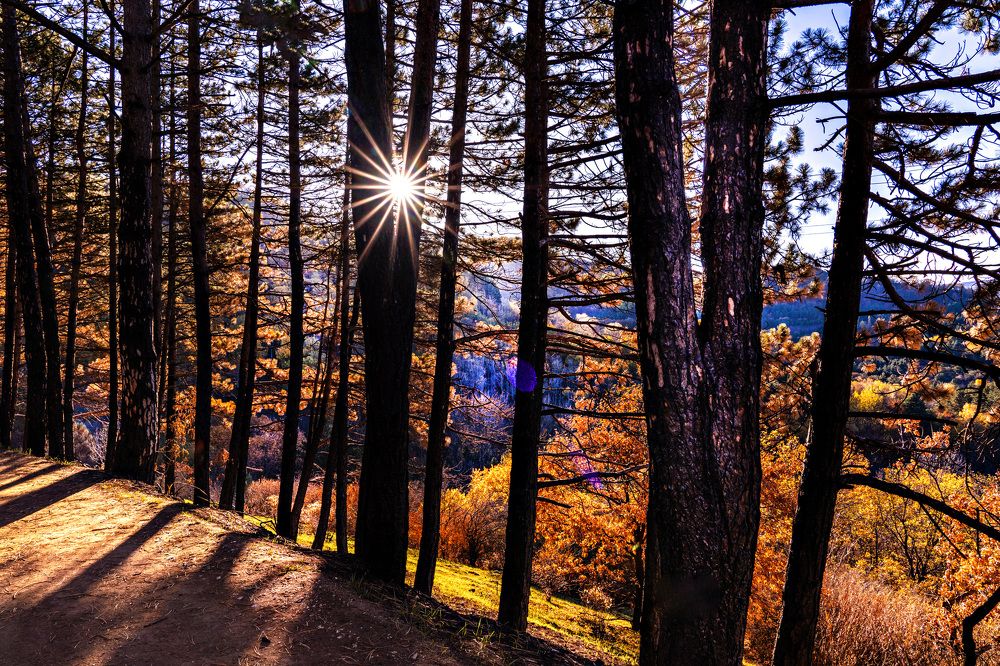 Photograph by Светлана Волкова