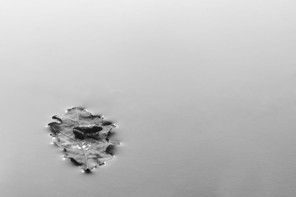 Photograph by Alexey Semyachkin