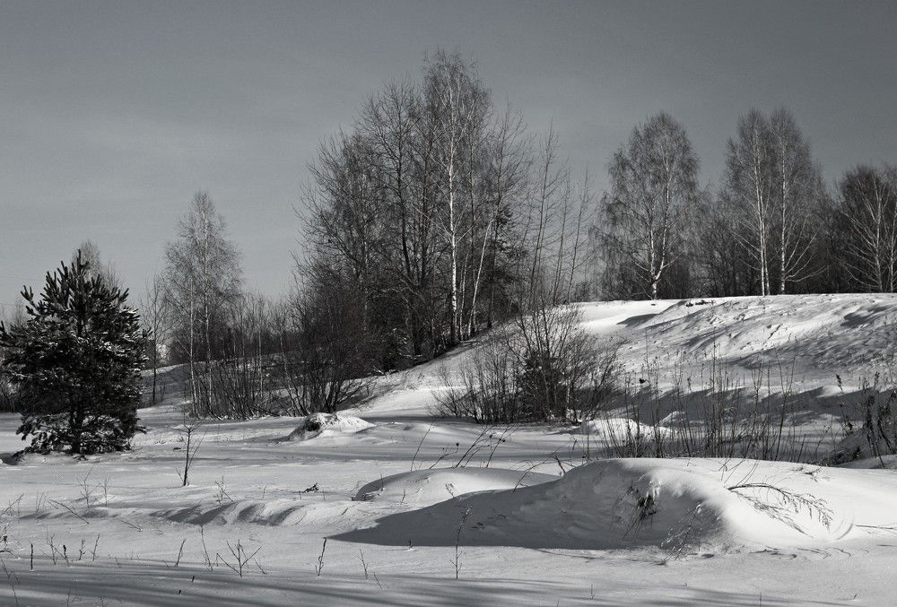 Photograph by Galina Tsmyg