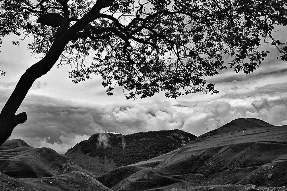 Фотография автора Екатерина Першина