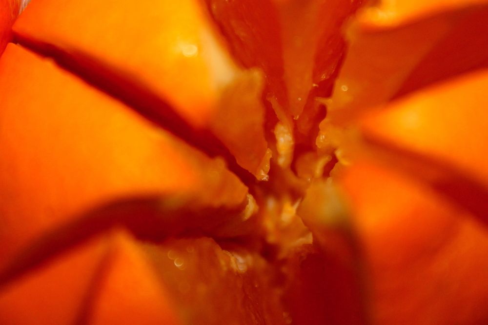 Photograph by Любовь