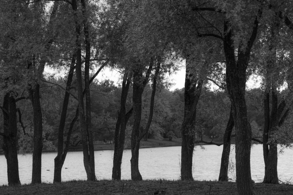 Фотография автора Екатерина Першина